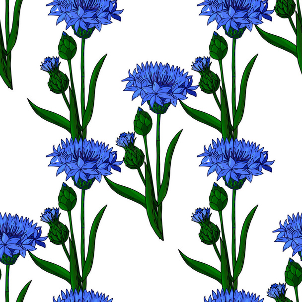 Cornflower floral seamless background isolated on the white - Вектор,изображение