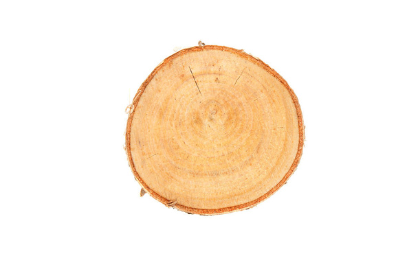 Деревянный пень изолирован на белом фоне. Круглый срубить дерево с ежегодными кольцами в качестве текстуры дерева
. - Фото, изображение