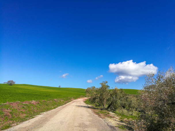 Estrada rural no meio de um campo de grama verde na Andaluzia
. - Foto, Imagem