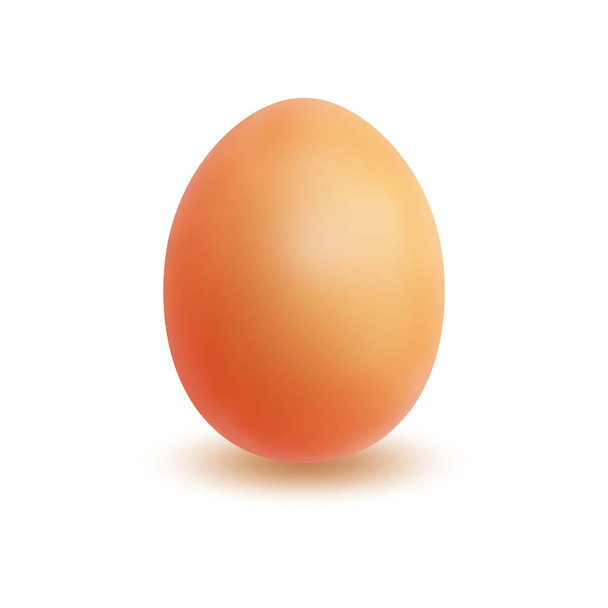 Singolo uovo marrone luminoso isolato su sfondo bianco realizzato in stile realistico
.  - Vettoriali, immagini