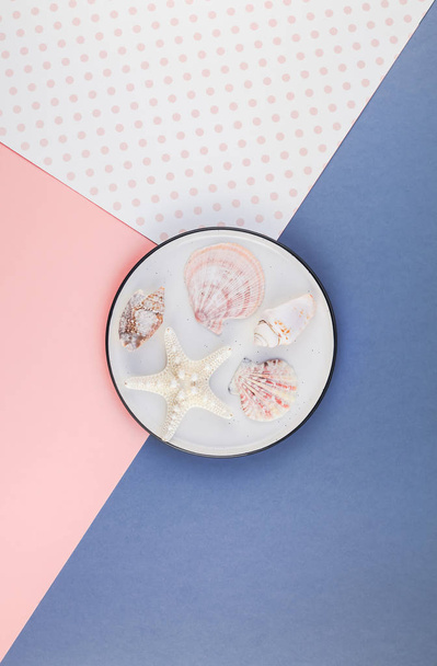 Plate with seashells on color paper background - Foto, Imagen