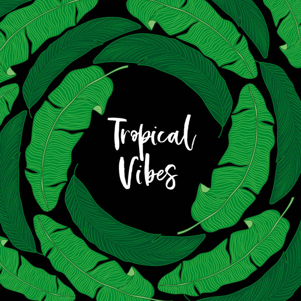 Mooie tropische groene palm bladeren plantaardige gebladerte achtergrond - Vector, afbeelding