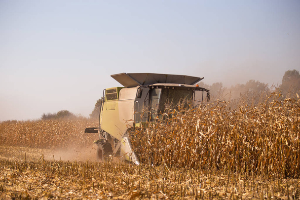 Il tema è l'agricoltura. Una moderna mietitrebbia nel campo effettua la raccolta del grano in una giornata di sole contro un cielo blu. Azienda agricola e automazione con macchine
. - Foto, immagini