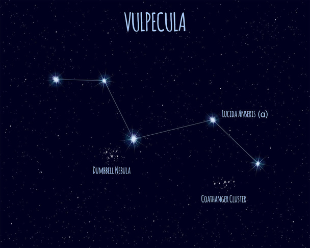 Souhvězdí Lištičky (The Fox), vektorové ilustrace s názvy základních hvězd proti hvězdné oblohy  - Vektor, obrázek