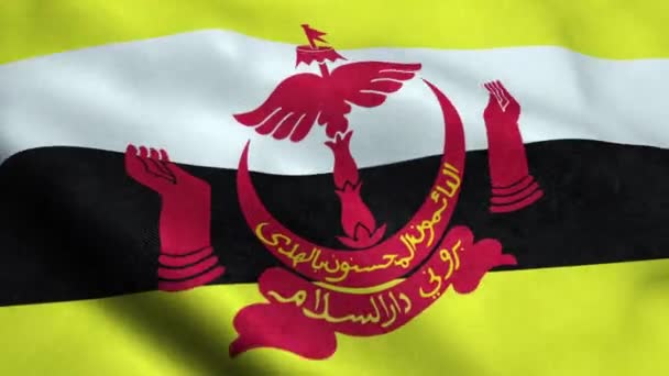 Brunei Flag Seamless Looping Waving Animation - Footage, Video