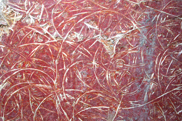 Old Cracked Weathered Shabby Plastered Peeled Wall Background. - Photo, Image
