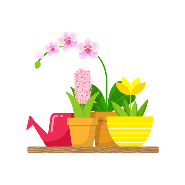 Półka z domu rośliny i konewka kwiaty. Storczyk Phalaenopsis, yellow lotus i hiacynt. - Wektor, obraz
