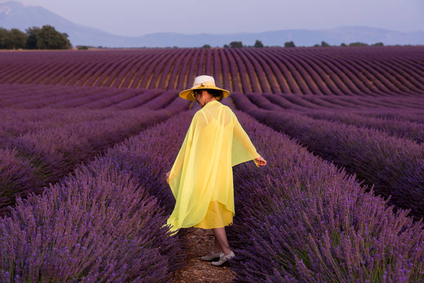 asian woman in yellow dress and hat at lavender field - Foto, immagini