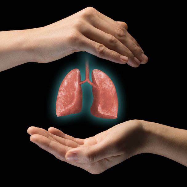 Poumons humains entre deux paumes d'une femme sur fond noir isolé. Le concept d'un poumon sain
. - Photo, image