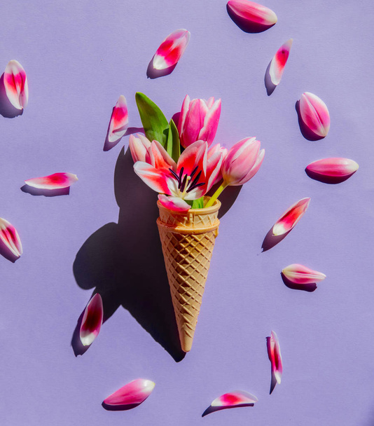 Tulips in ice-cream cone on pruple background. Above view  - Photo, Image