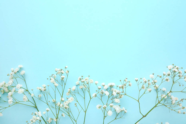 White gypsophila flowers on blue background - Foto, Imagem