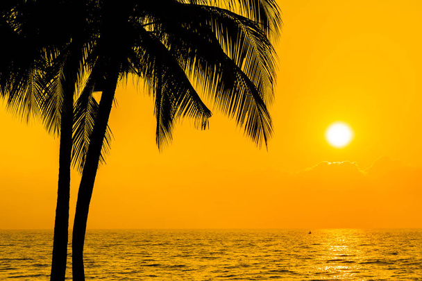 Magnifique cocotier Silhouette sur ciel proche mer océan être
 - Photo, image