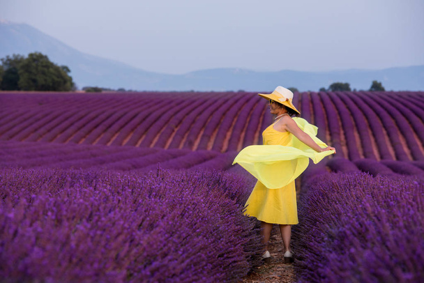 asian woman in yellow dress and hat at lavender field - Photo, image