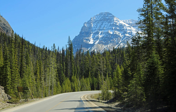 Monte Stephen y la carretera - Parque Nacional Yoho, Columbia Británica, Canadá
 - Foto, imagen