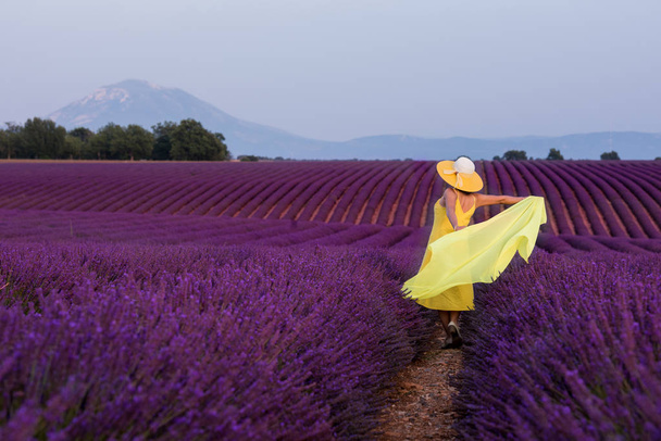 asian woman in yellow dress and hat at lavender field - Фото, изображение