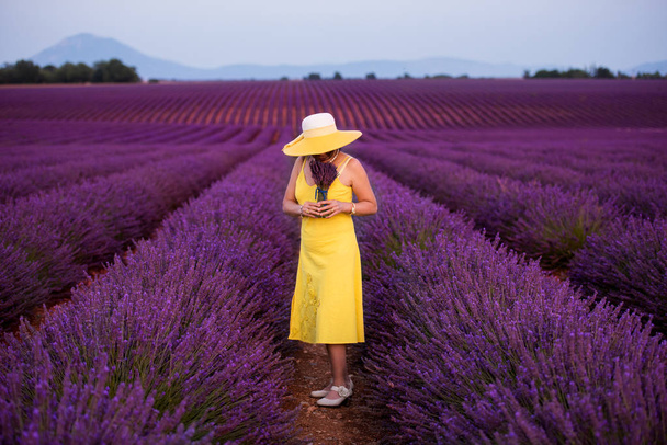asian woman in yellow dress and hat at lavender field - 写真・画像