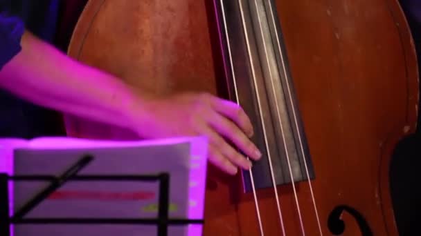 Μουσική βιβλίο χέρι παιχνιδιού κοντραμπάσο - Πλάνα, βίντεο
