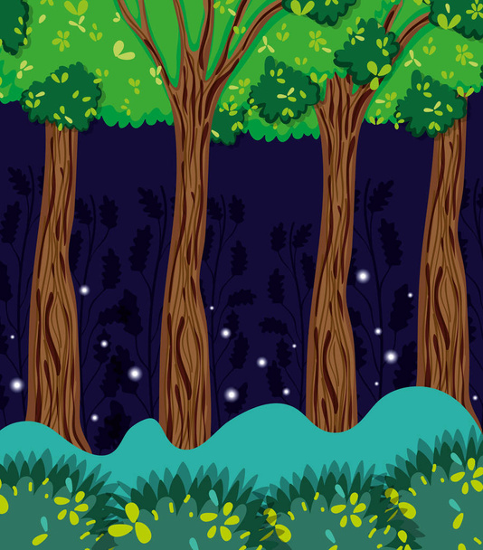 kaunis metsä yöllä
 - Vektori, kuva