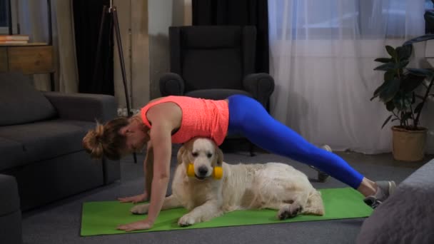 Fit sportwoman doing handstand exercise with pet - Filmagem, Vídeo