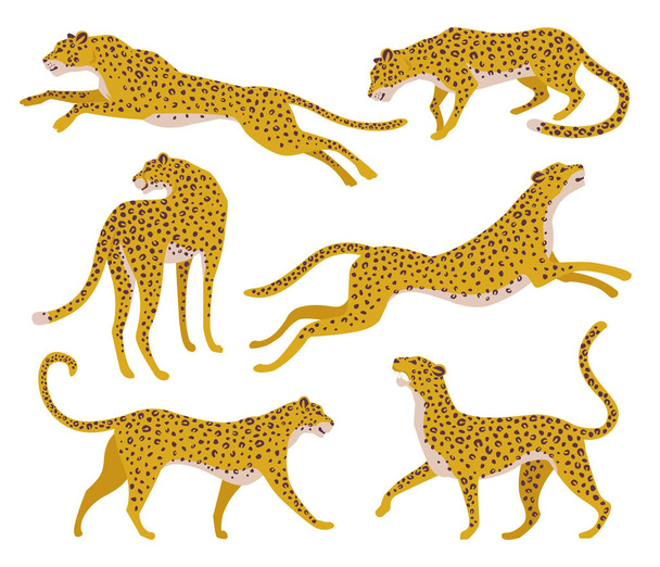 Set of abstract silhouettes of leopards. Vector hand draw design. - Vector, afbeelding