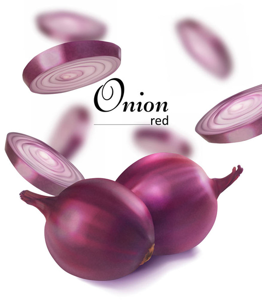 Red onion and sliced ������onions. Vector realistic illustration - Vektör, Görsel