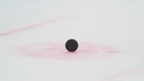 closeup hockey arbiter takes away black puck at competition - Footage, Video