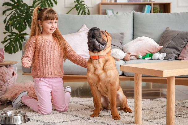 Cute little girl with funny dog at home - Zdjęcie, obraz