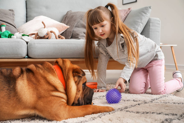 Cute little girl playing with funny dog at home - Zdjęcie, obraz