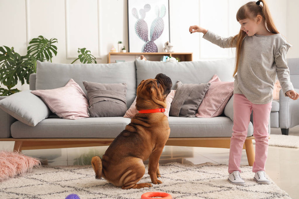 Cute little girl playing with funny dog at home - Foto, Imagen