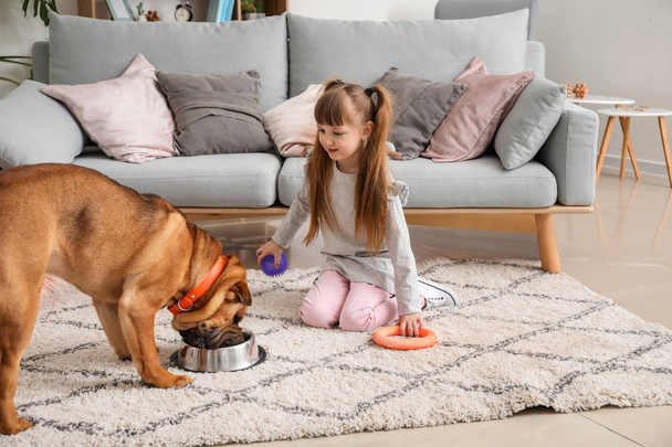 Cute little girl feeding funny dog at home - Foto, imagen