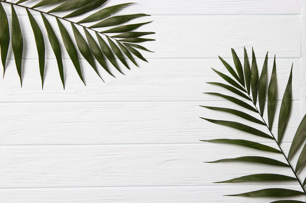 liście palmy na drewnianym tle z wolnym miejscem na tekst. szkic projektu. minimalizm, kreatywność. płaskowyż - Zdjęcie, obraz
