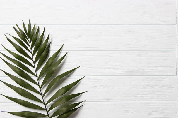 palmbladeren op een houten achtergrond met vrije ruimte voor tekst. een ontwerp voor een ontwerp. minimalisme, creativiteit. vlakke plaat - Foto, afbeelding