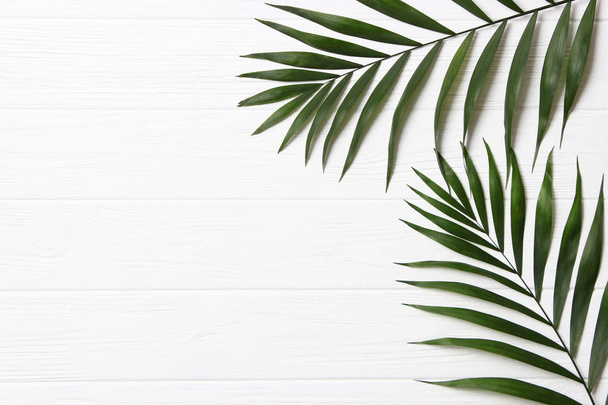 palm leaves on a wooden background with free space for text. a draft for a design. minimalism, creativity. flatlay - Photo, Image