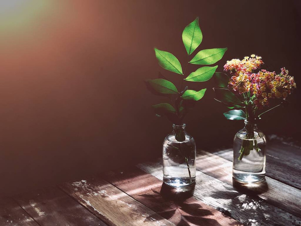 bottles with plants on rustic wooden table in daylight - Photo, Image