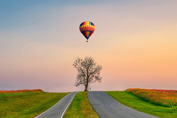 熱気球が丘の上を飛んでいる孤独な木 - 写真・画像