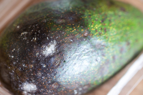 Крупный план испорченный авокадо в пластиковой коробке на деревянном фоне
 - Фото, изображение