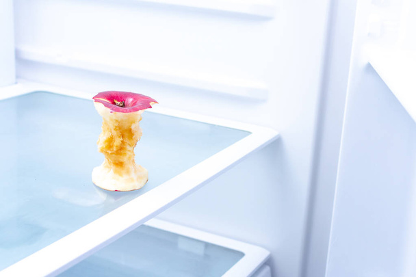 A bit of apple on the shelf in an empty fridge. Lack of food. Hunger and poverty concept. Stub apple  - Fotoğraf, Görsel