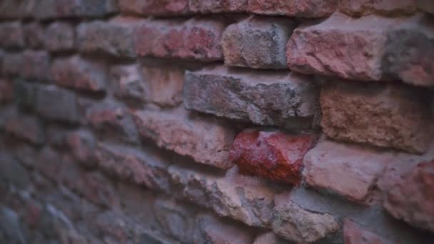 An outdoor brick wall - Felvétel, videó
