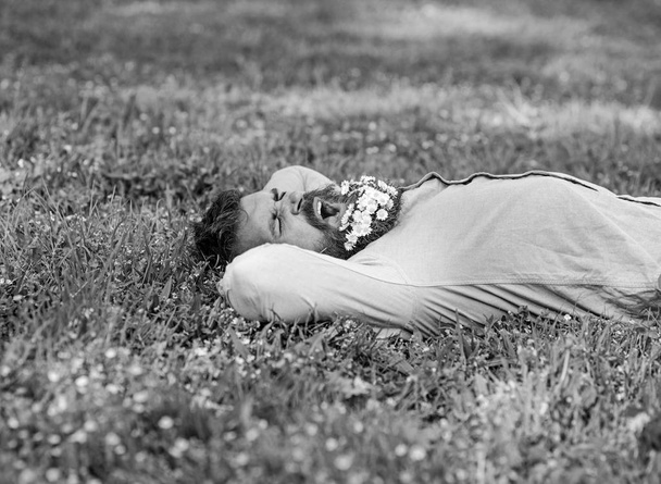 Man with beard on yawning face enjoy nature. Relaxation concept. Bearded man with daisy flowers in beard lay on meadow, grass background. Hipster with bouquet of daisies in beard relaxing - Foto, Imagen