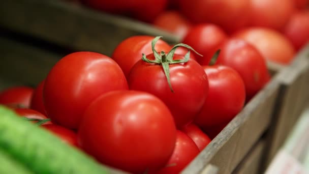 Primer plano de material de archivo de verduras frescas de tomate maduro en la caja en la tienda de comestibles. Compre alimentos naturales saludables igredients enemigo alimentación saludable y buen gusto
. - Metraje, vídeo
