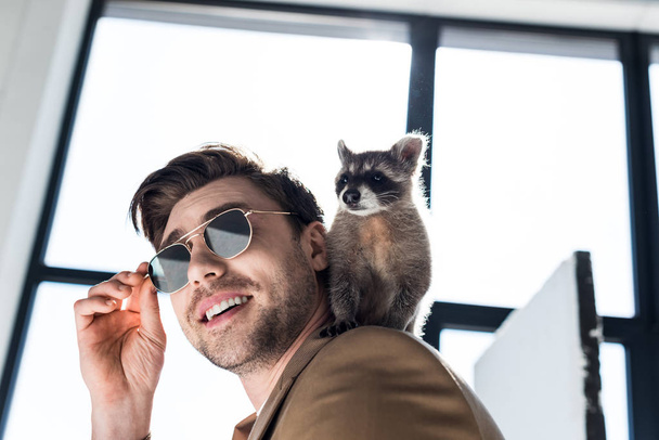 funny raccoon sitting on shoulder of handsome smiling man in sunglasses - 写真・画像