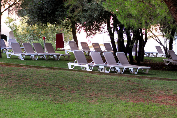 Exotic beach on mediterranean sea, sunbeds for sunbathing and relax on grass in tropical garden of luxury resort hotel. Sun loungers on lawn waiting for tourists. Idyllic seaside in summer season. - Photo, Image