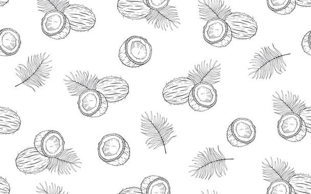 Seamless pattern with coconuts and palm leaves. Hand drawn vector - Vector, Image