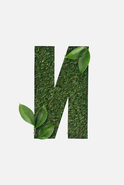 cut out cyrillic letter with fresh green grass on background and leaves isolated on white - 写真・画像