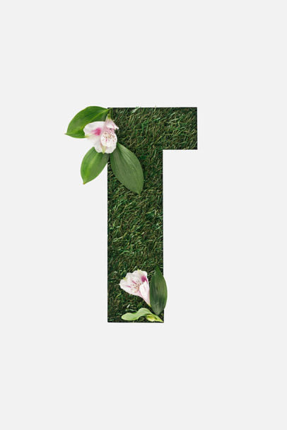 cut out cyrillic letter made of green grass with blooming Alstroemeria flowers isolated on white - Foto, imagen