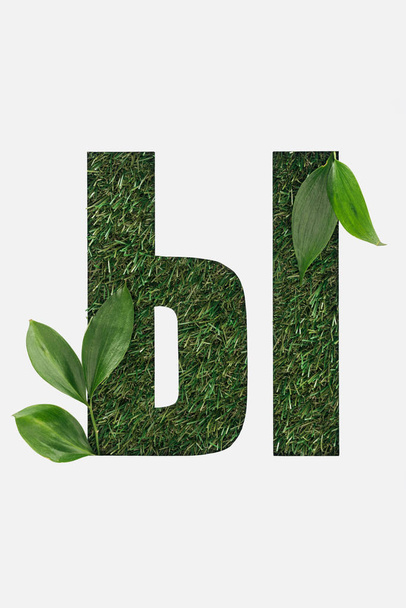 cortar letra cirílica hecha de hierba con hojas verdes aisladas en blanco
 - Foto, imagen
