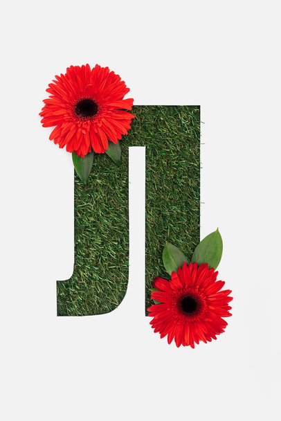 wyciąć pismo z cyrylicy z trawy naturalnej a czerwony jasny gerbery na białym tle - Zdjęcie, obraz