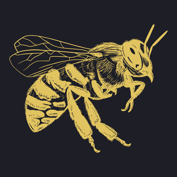 Illustration of a Bee vector  - Vettoriali, immagini