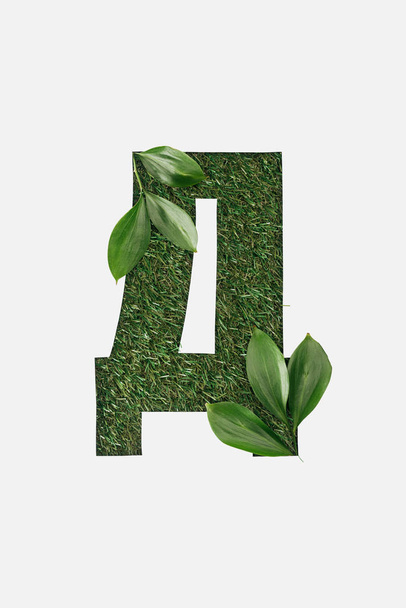 top view of letter from cyrillic alphabet made of natural green grass with leaves isolated on white - Photo, Image