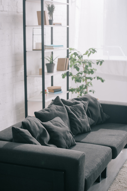 black sofa near plant and rack in modern living room  - Zdjęcie, obraz